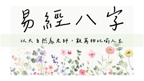 八字課程|易經八字基礎架構學程【2024年11